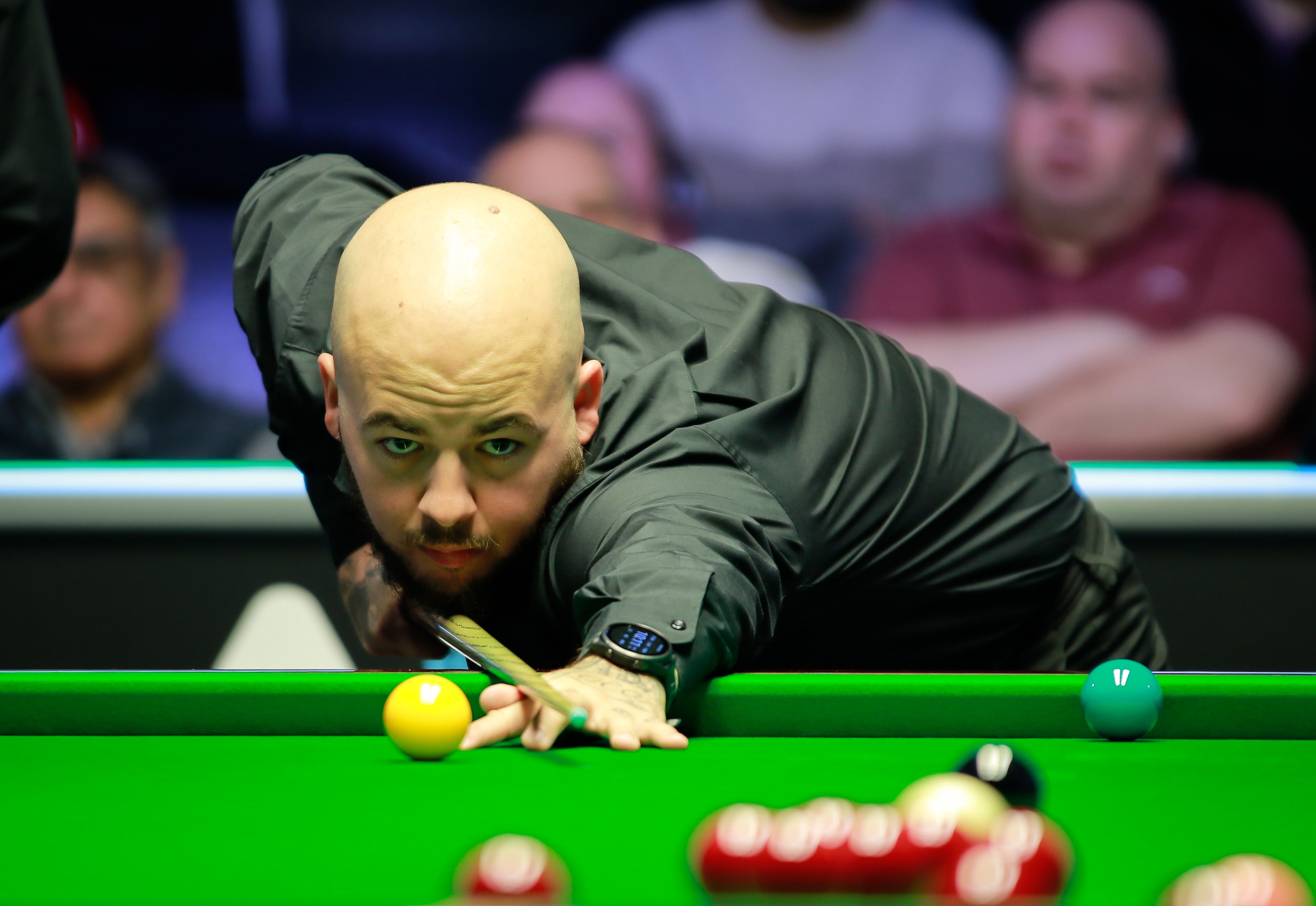 双重特质的 双重特质的