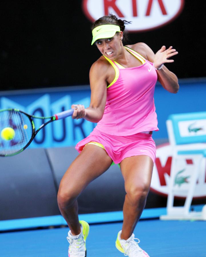 雄鹿反击打 雄鹿反击打